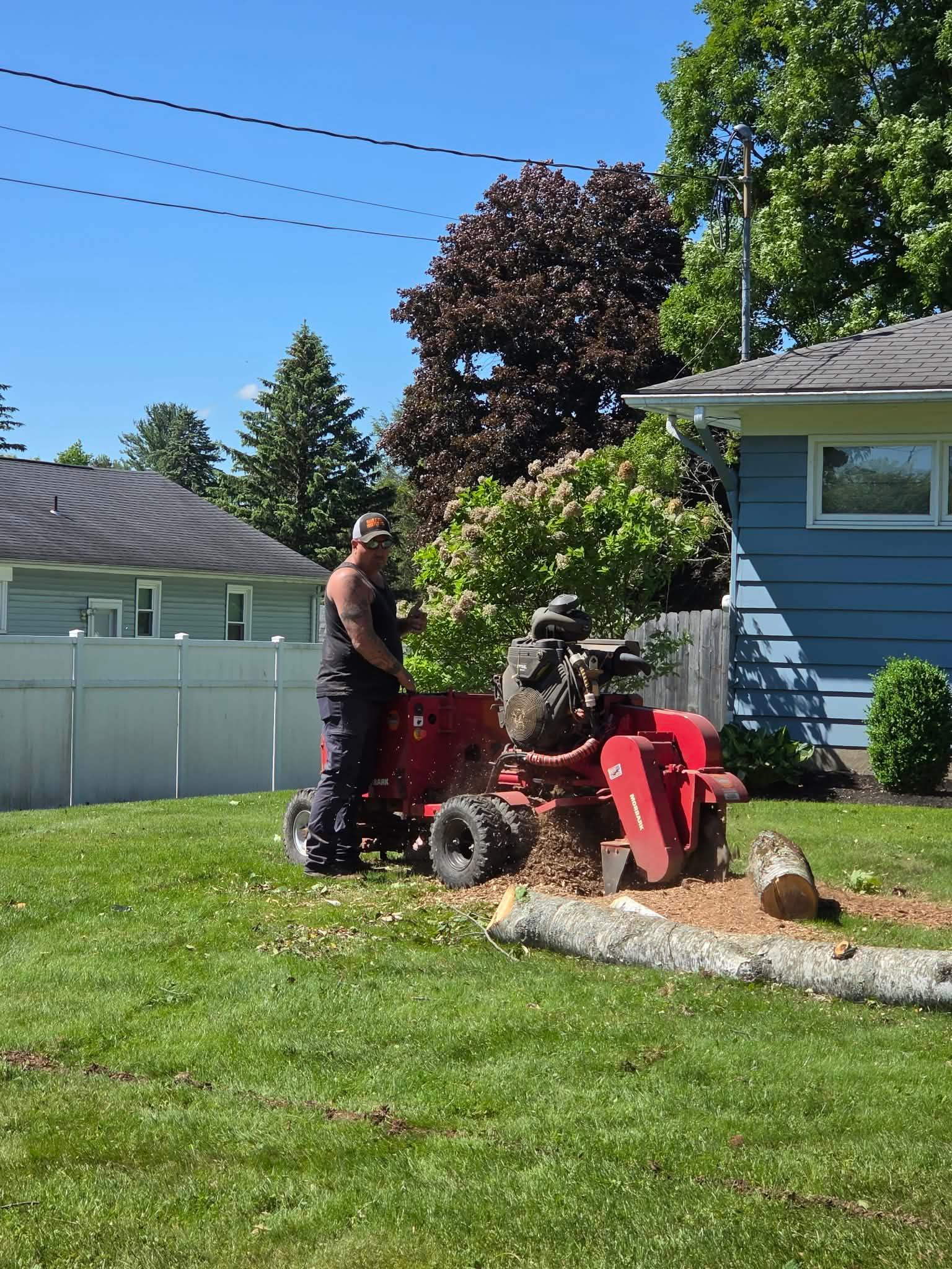 Stump Grinding