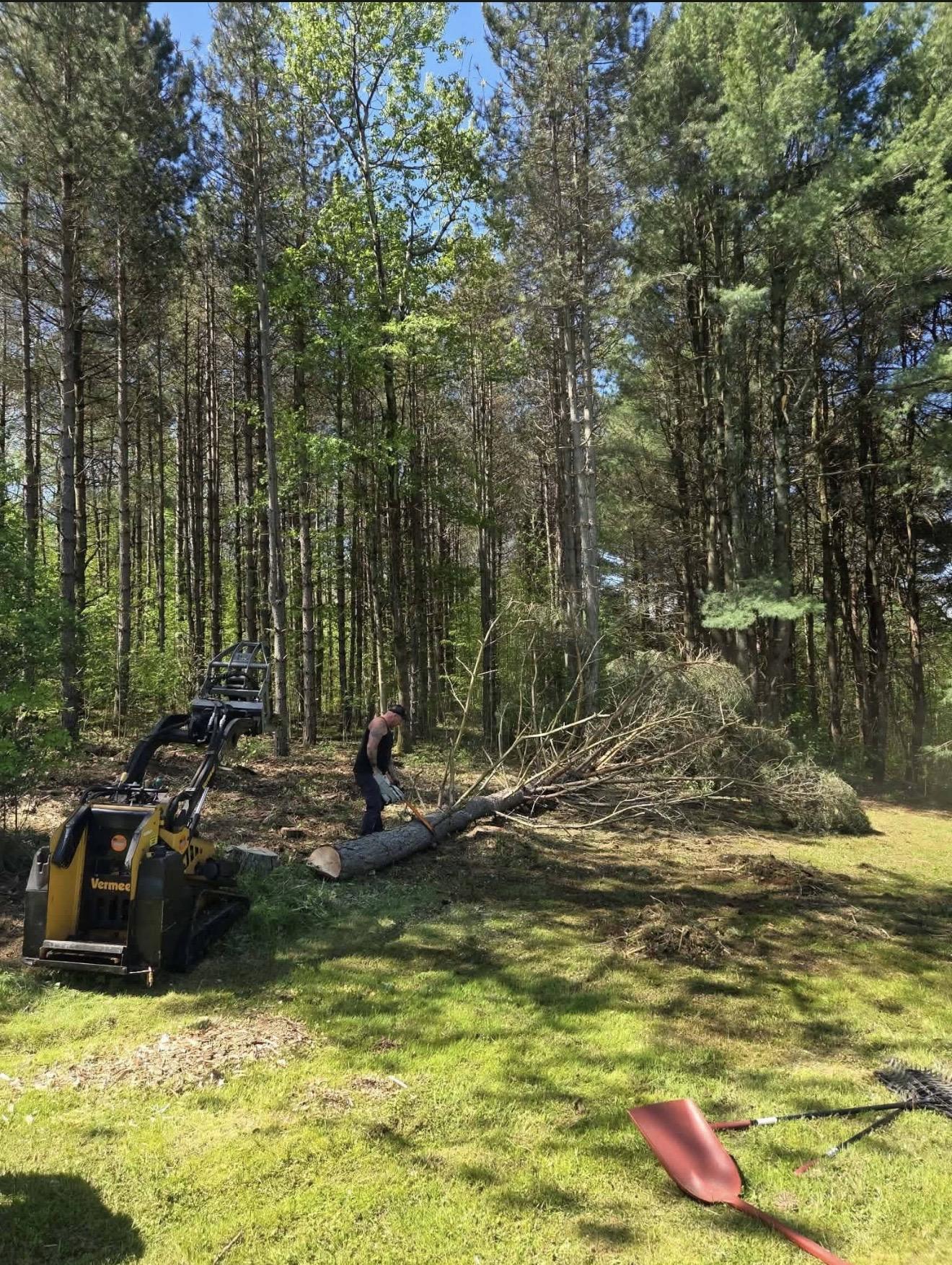Lot Clearing