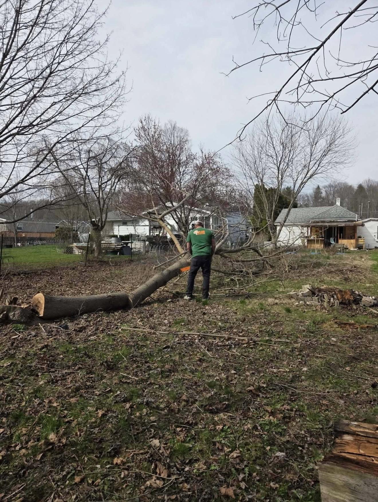 Truckload of logs hauled out